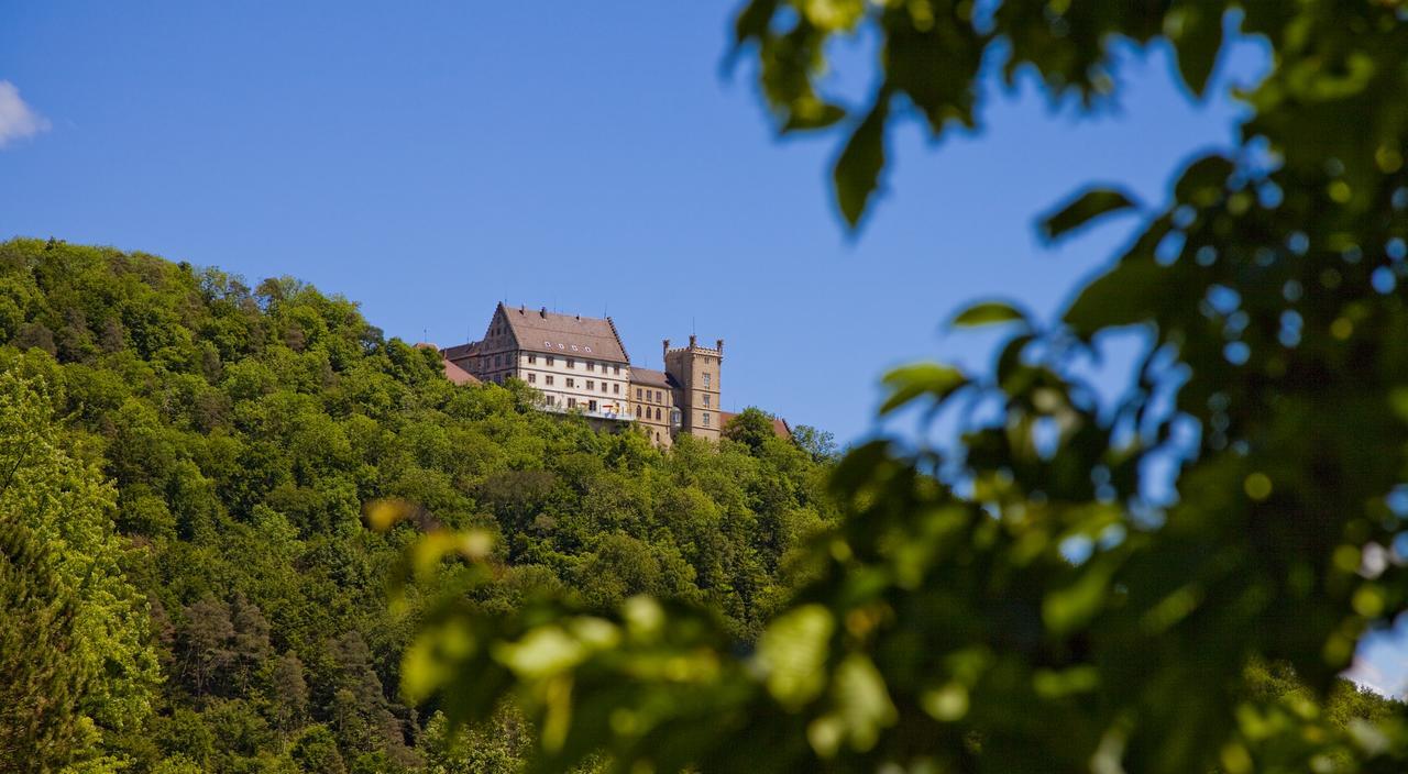 Schloss Weitenburg Starzach Ngoại thất bức ảnh